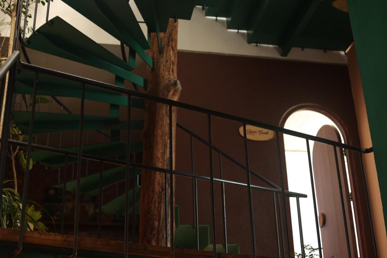 Cherry Suites Dalat Dış mekan fotoğraf