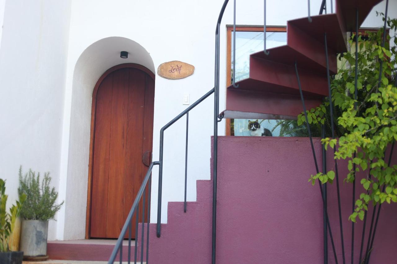 Cherry Suites Dalat Dış mekan fotoğraf